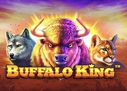 Buffalo King Vegas Nova Casino Slot
