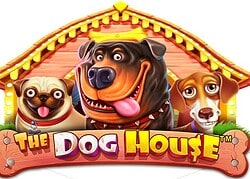 Dog House Vegas Nova Casino Game